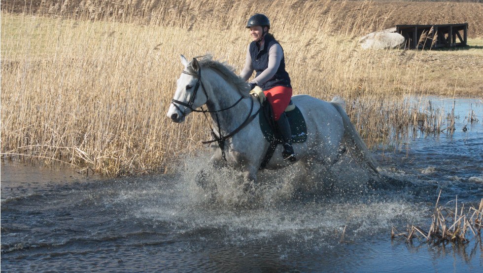 Ausritte in die Natur und Spaß sind bei Rodenbergs vorprogrammiert, © Reitanlage Rodenberg