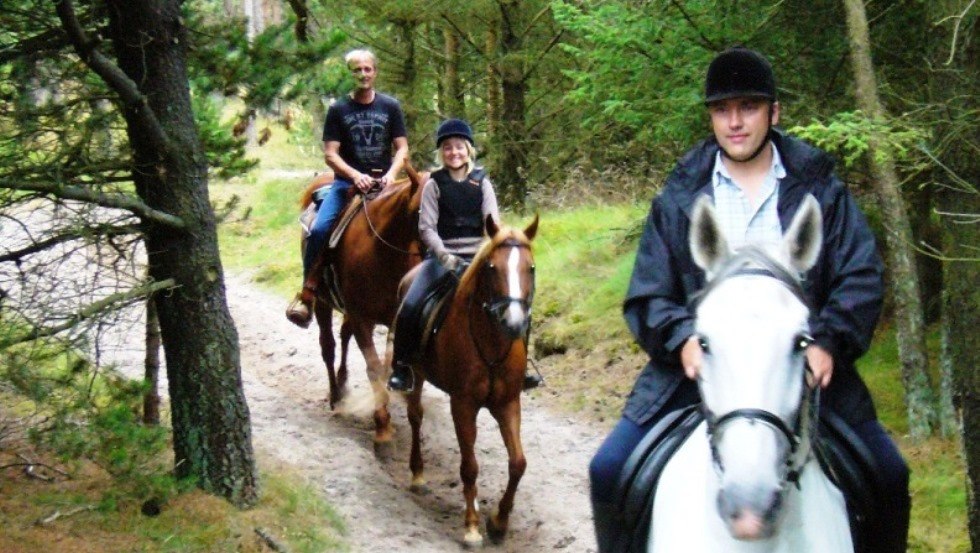 Auf naturbelassenen Sandböden können Sie problemlos um die Ferienanlage Am Walde reiten., © Thamm