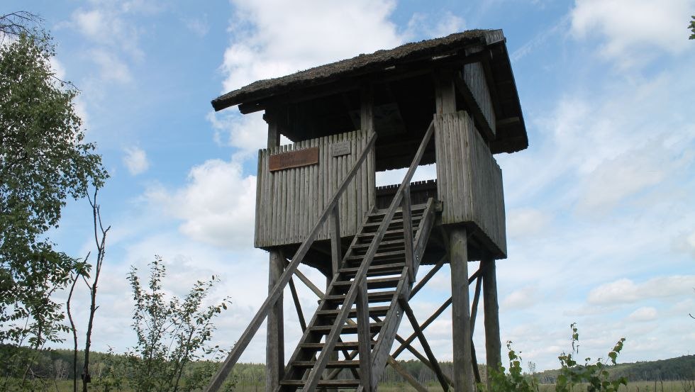 Aussichtsturm Großer Serrahnsee, © TMV/Bodieschek