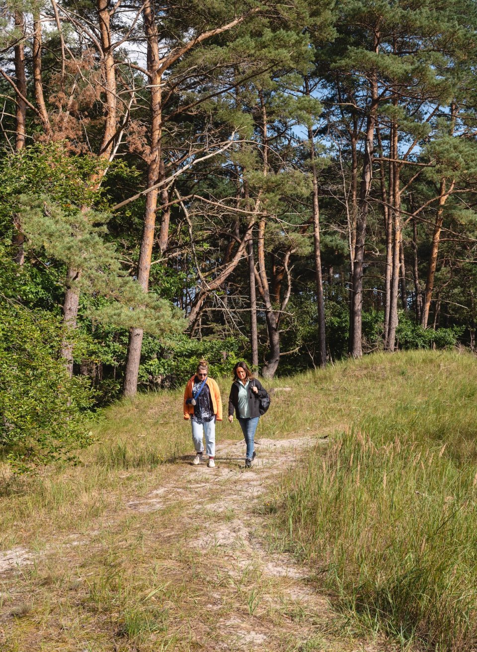 In Japan hat der achtsame Waldspaziergang schon lange Tradition. Der Küstenwald bei Zinnowitz ist perfekt, um ganz bewusst in die Natur einzutauchen., © TMV/Gross