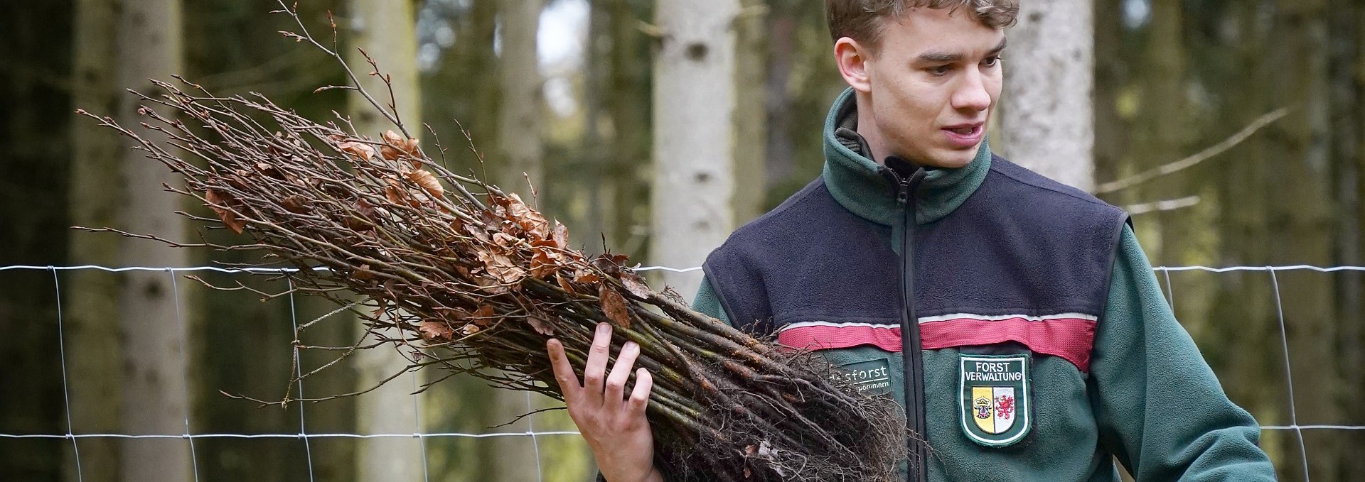 Pflanzaktion für den Klimawald, © Landesforst MV