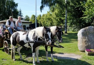 Start der Kutschfahrt, © Hof Thomsen