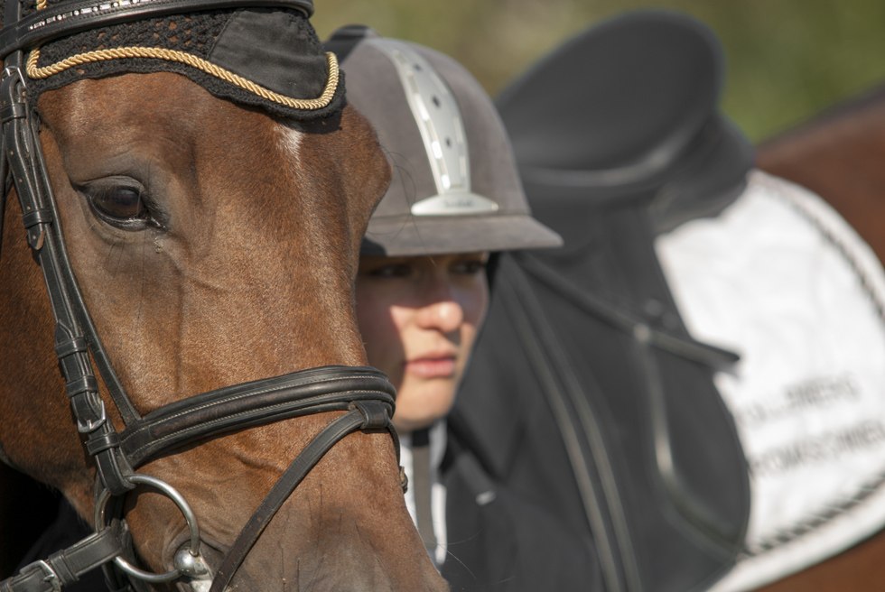 Bei Reitkursen in Mecklenburg-Vorpommern können ebenfalls Motivationsabzeichen und Abzeichenprüfungen in unterschiedlichen Klassen und Reitweisen abgelegt werden, © TMV/ Hafemann