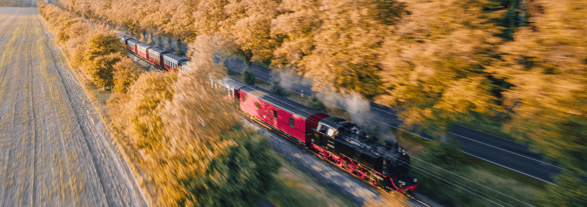 Eine Dampflok der Mecklenburgischen Bäderbahn “Molli” fährt durch eine von goldenen Herbstbäumen gesäumte Allee, umgeben von Feldern und Natur.