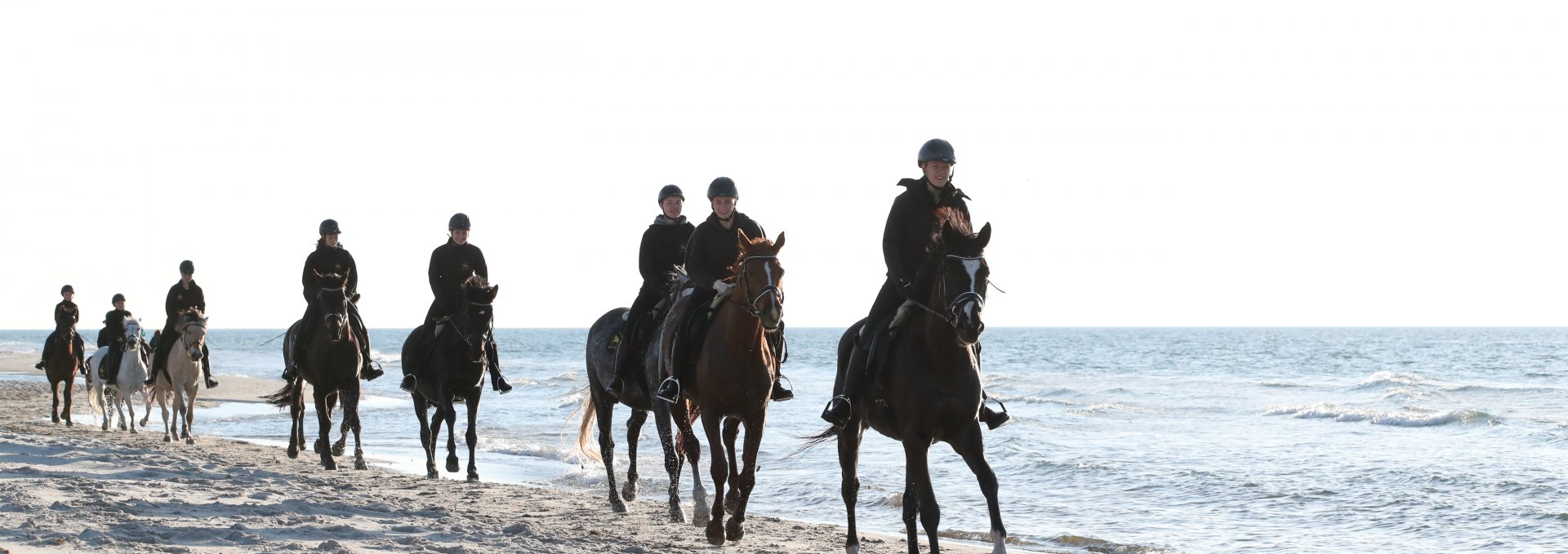 Reiten am Strand, © TMV/ACP Pantel