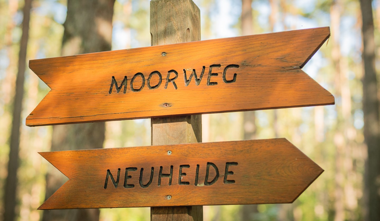 Wildwoche Graal-Müritz | Moorwanderung, © André Pristaff / Tourismus- und Kur GmbH Graal-Müritz