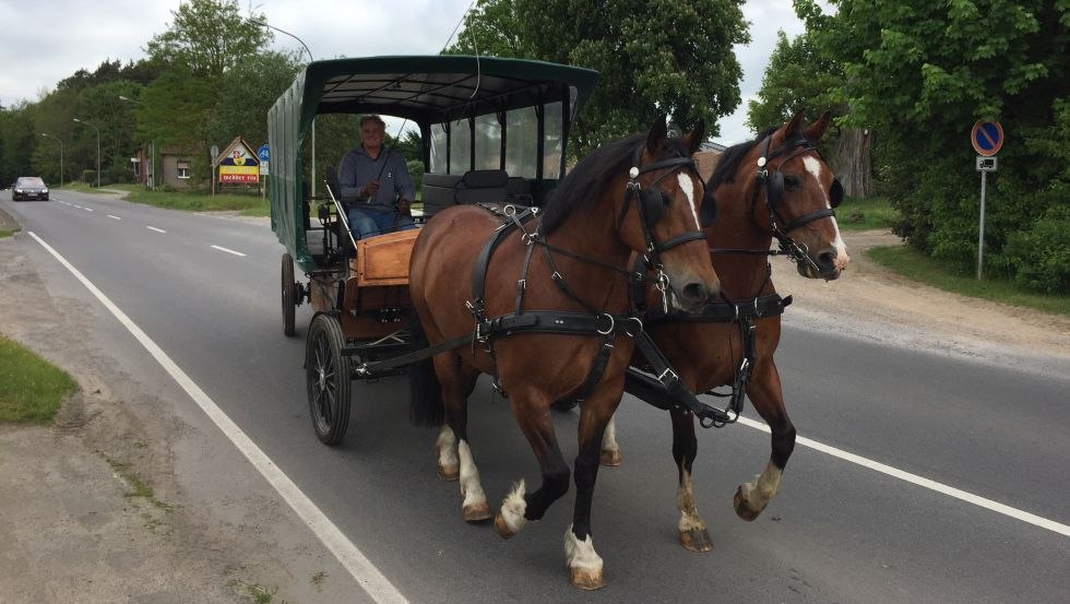 Mit dem Ferienhof Mirow eine Kutschfahrt für bis zu 25 Personen unternehmen, © Ferienhof Mirow/Mewes