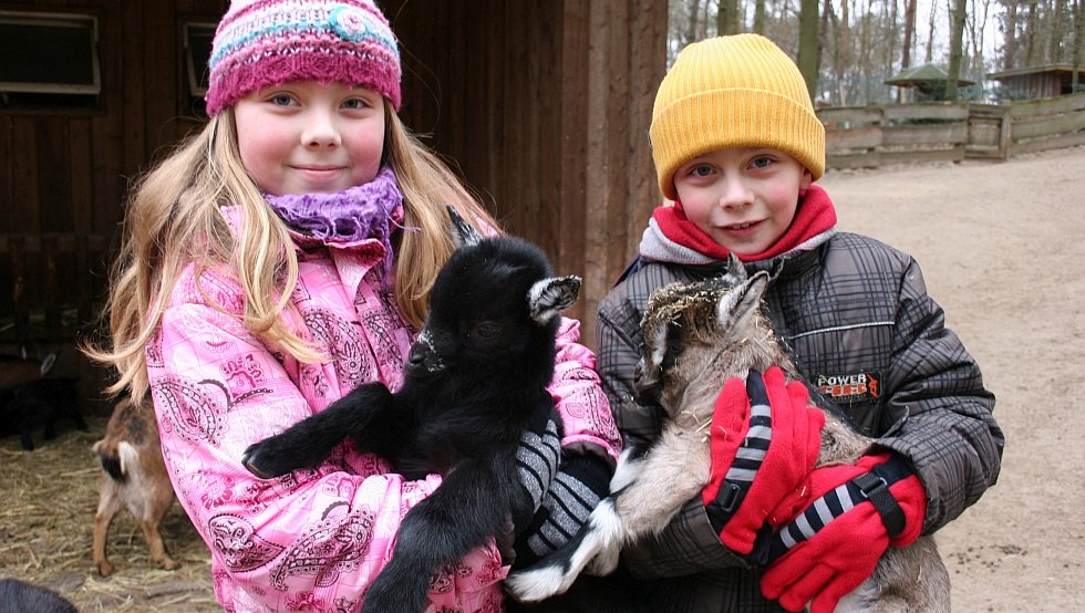 Besonders beliebt bei den Kindern: der Streichelzoo und weitere begehbare Gehege, © Wildpark-MV