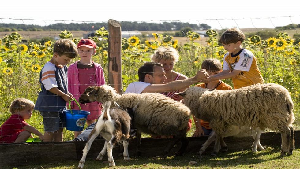 Kleine Viecherei Tiergehege, © Vision Foto