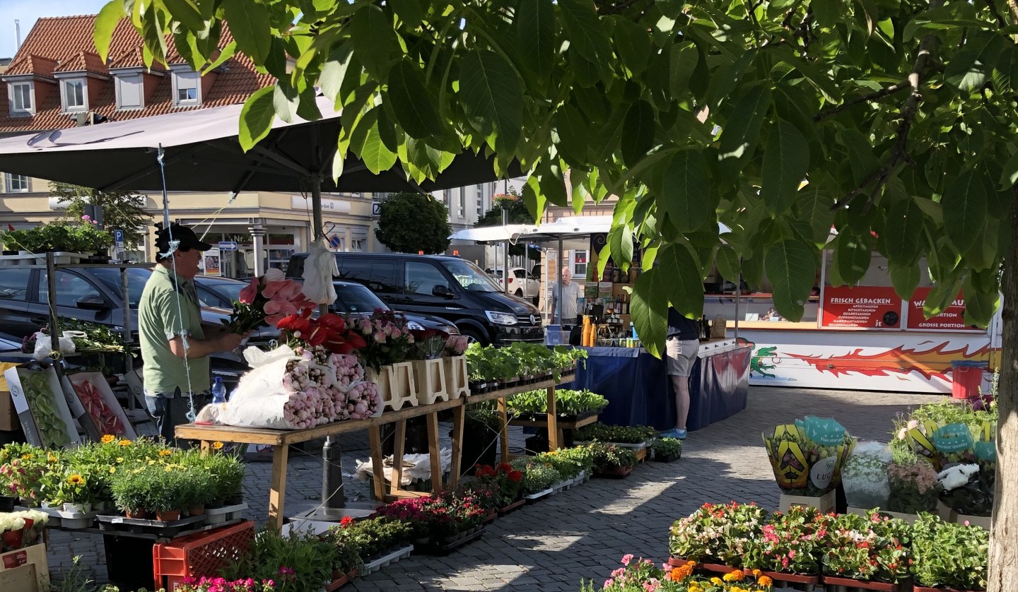 Wochenmarkt-Ribnitz, © Stadt Ribnitz-Damgarten