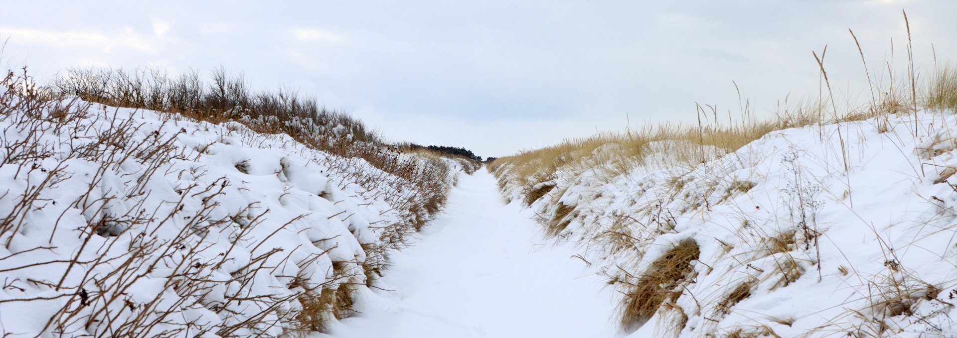 Insel Hiddensee erleben, © Weiße Flotte GmbH