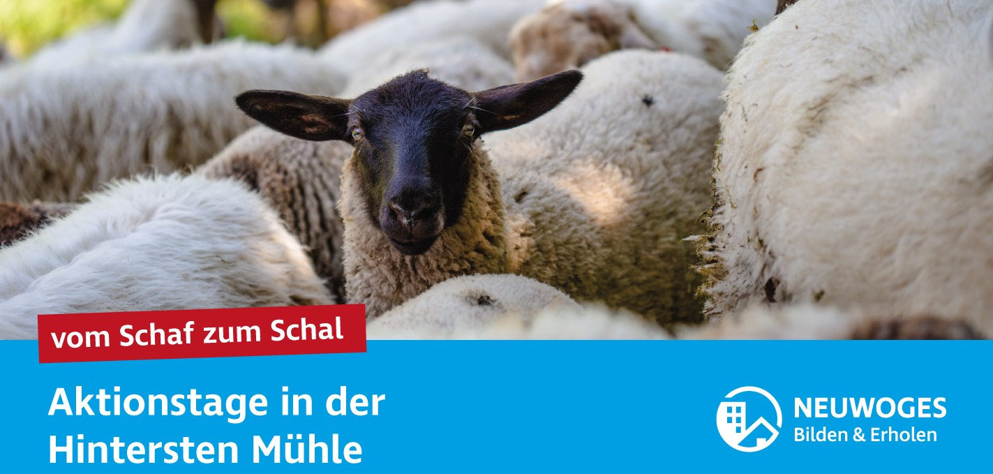 neuw-konzern_externe-komm_tierheim_aktionstage-24-vom-schaf-zum-schal, © Neuwoges