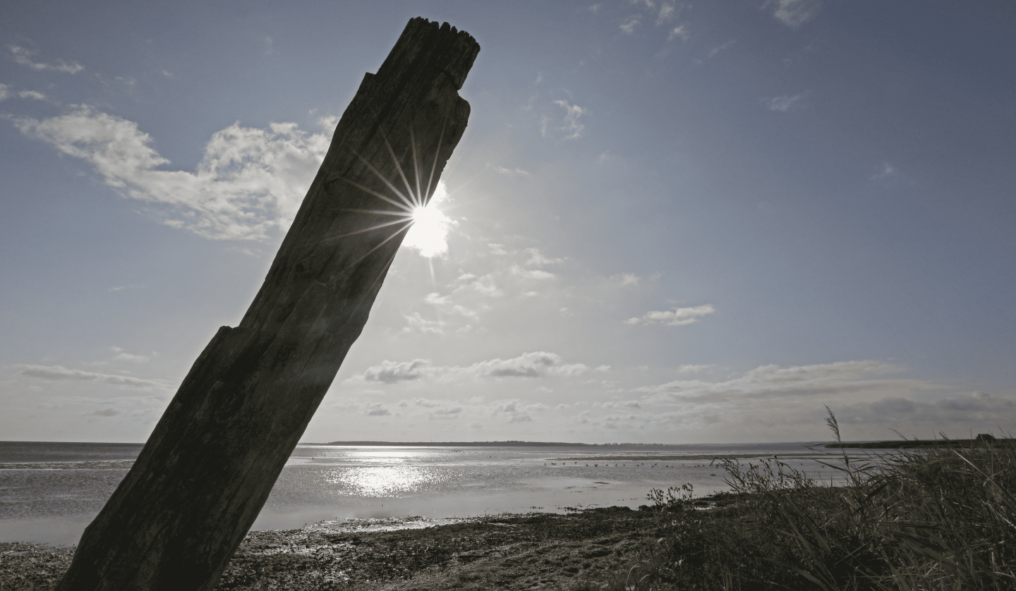 Naturstrand Wampen, © TMV/Gohlke