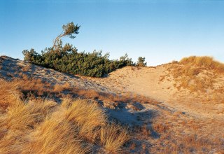 Dünenlandschaft bei Klein Schmölen, © TMV/Neumann