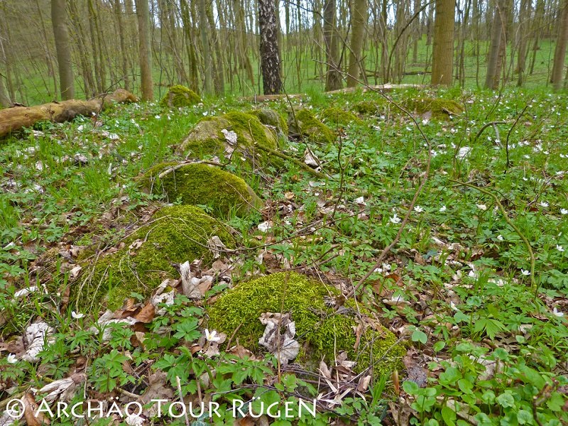 versteckt im Laubwald liegen die über 400 Hügelgräber aus der Slawenzeit, © Archäo Tour Rügen