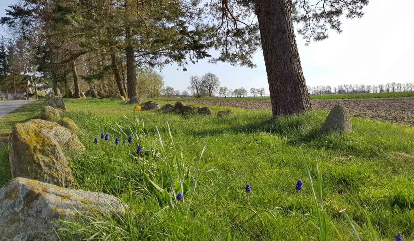 Hünenbett Stralendorf, © Tourismusverband Mecklenburg-Schwerin