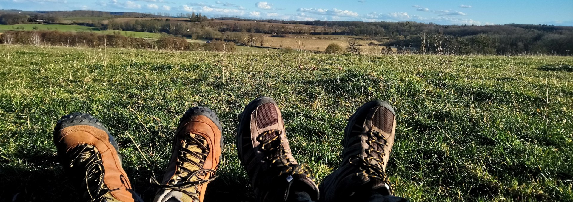 Panormablick vom Wanderweg zum Hohen Holz, © Jana Koch