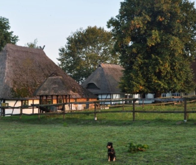 Pferdehof Schwalbennest: Ansicht unseres kleinen, familiär geführten Reiterhofes in Jörnstorf, wo Sie und Ihre Haustiere herzlich willkommen sind., © Pferdehof Schwalbennest/ Rauth