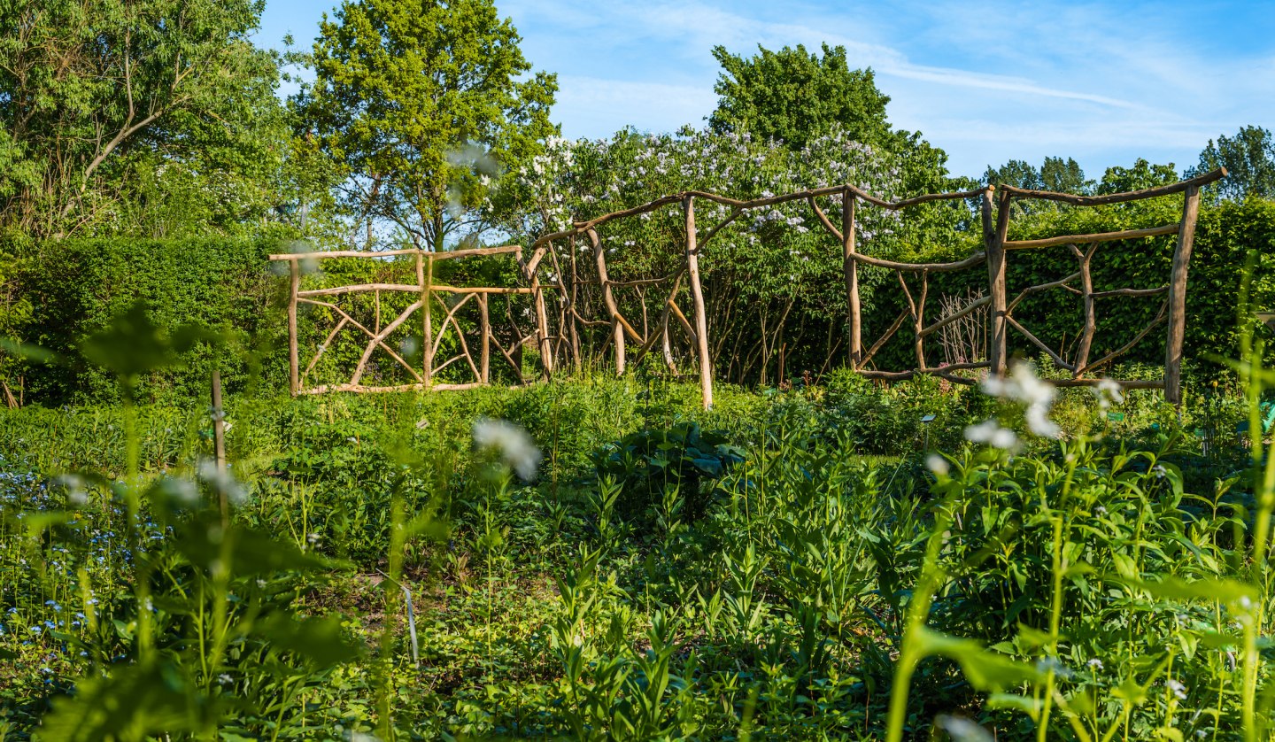 Wangeliner Garten - Einblicke, © TMV/Tiemann