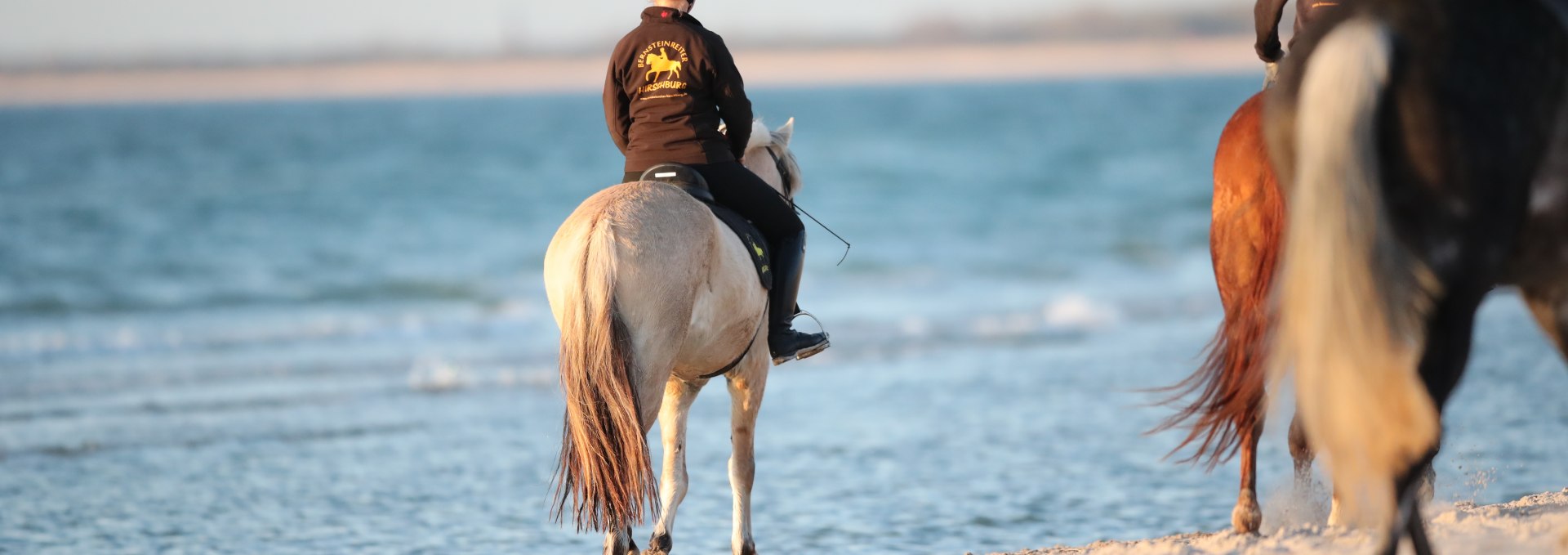 Reiten am Strand, © TMV/ACP Pantel