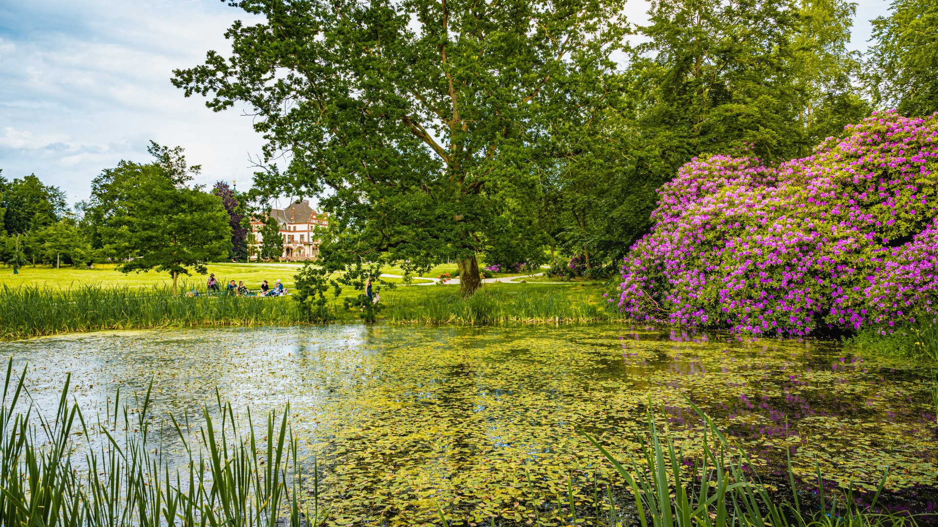 Auch der Weiher ist wieder das geworden, was er immer sein sollte., © TMV/Tiemann