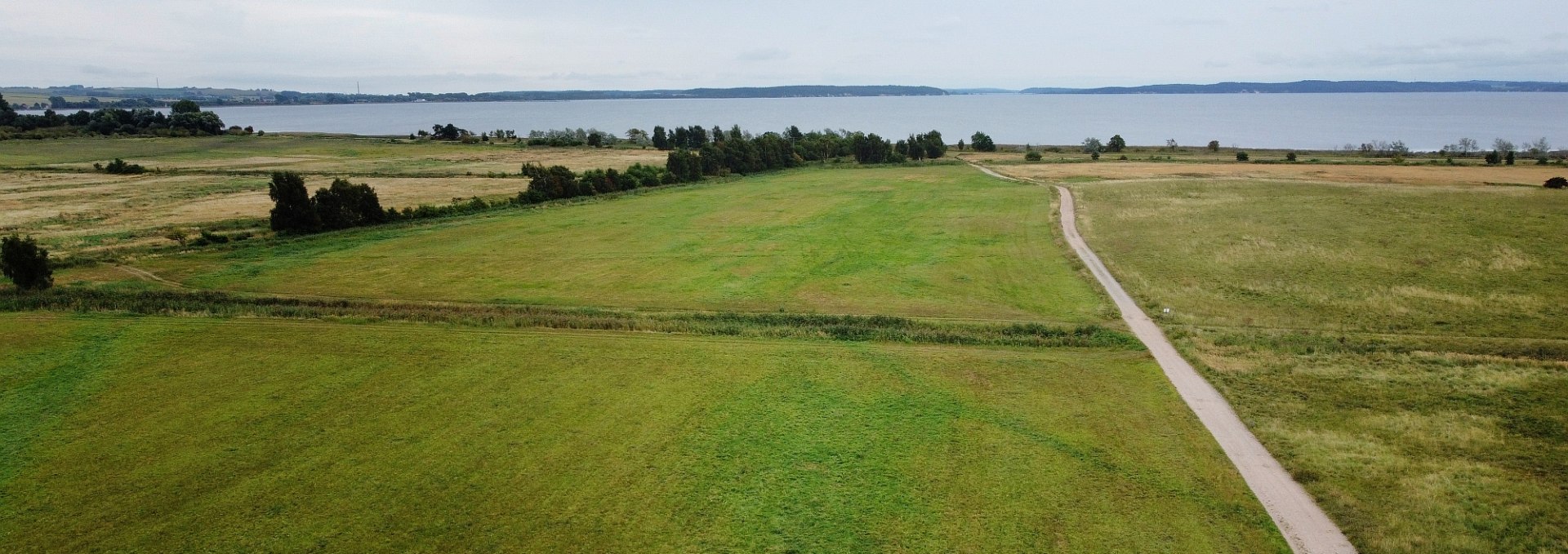 Blick vom Klimawald in Richtung Ostsee, © Landesforst MV