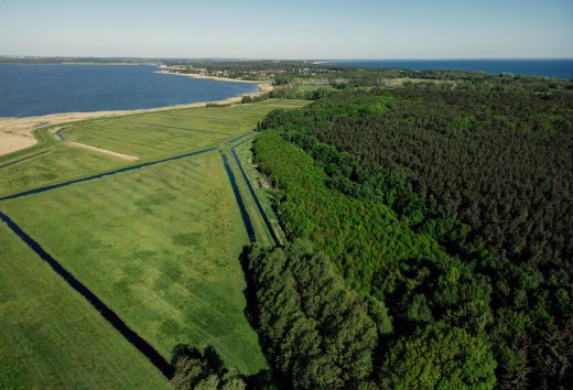 Klimawald auf der Insel Usedom bei Damerow, © TMV/Petermann