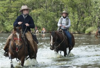 Reiten und Fahren in Mecklenburg-Vorpommern - Von ganz ruhig bis eisern wild, © TMV/Hafemann