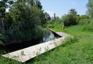 Einfahrt zum Anleger aus Sicht der Recknitz, © Tourismusverein Vogelparkregion Recknitztal e.V.