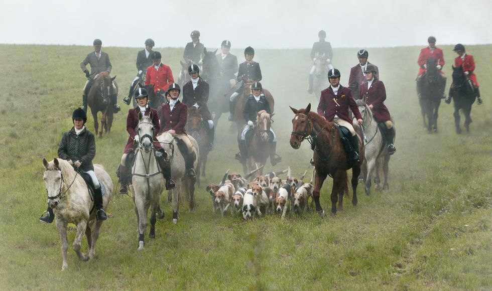 Auf Anikas Urlaubs- und Erlebnishof ein Trainingsritt mit der Nienhäger-Foxhound-Meute absolvieren, © Anikas Urlaubs- und Erlebnishof/ Markgraf