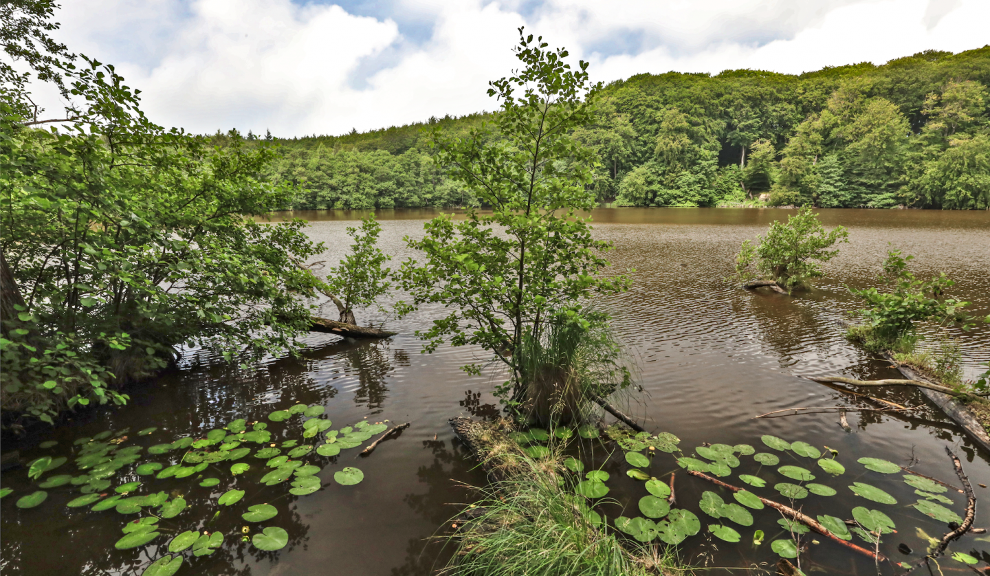 herthasee_6, © TMV/Gohlke