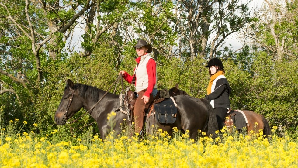 Reiten und Meer: Anne Hille vom ART.Quartier zeigt Ihnen die geheimnisvollen Ecken des Darßer Hinterlandes, © TMV/ Hafemann