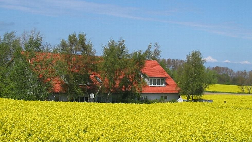 Ein Bett im Rapsfeld in der Ostseepension Rerik, © Ostseepension Rerik