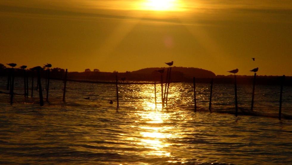 Blick auf das Achterwasser am Abend, © Natur Camping Usedom