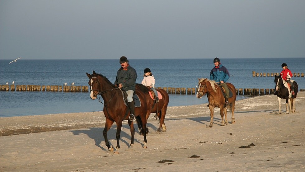 Mit dem Reit- und Ferienhof Illner können Sie Strandritte erleben, © Reit- und Feriencamp Illner/ Siegfried Illner