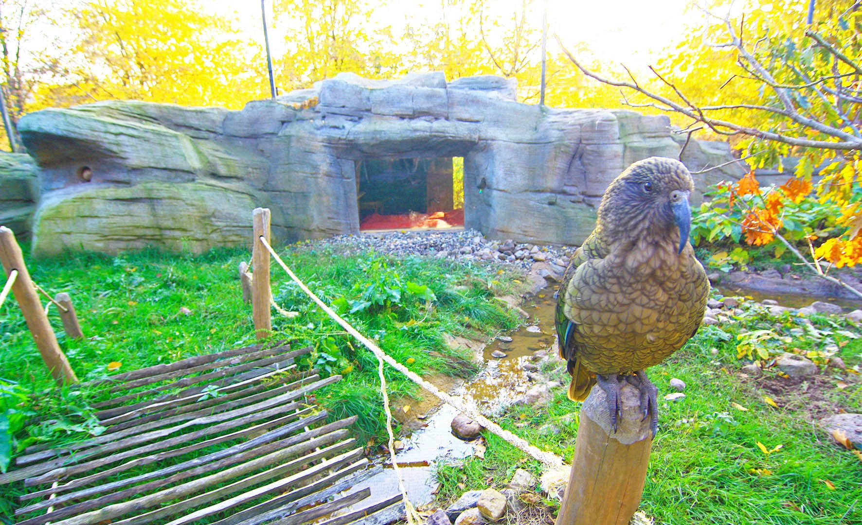 Vogelpark Marlow Keahöhle, © Vogelpark Marlow