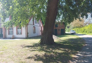 Aussenansicht Ferienhaus Sommer Linden, © Sommer Linden