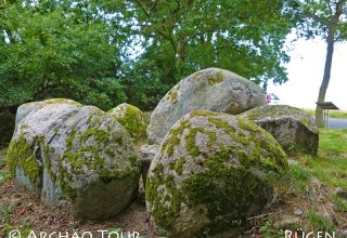 Blick auf einige Steine des Großsteingrabes "Goldbusch" mit Infotafel, © Archäo Tour Rügen