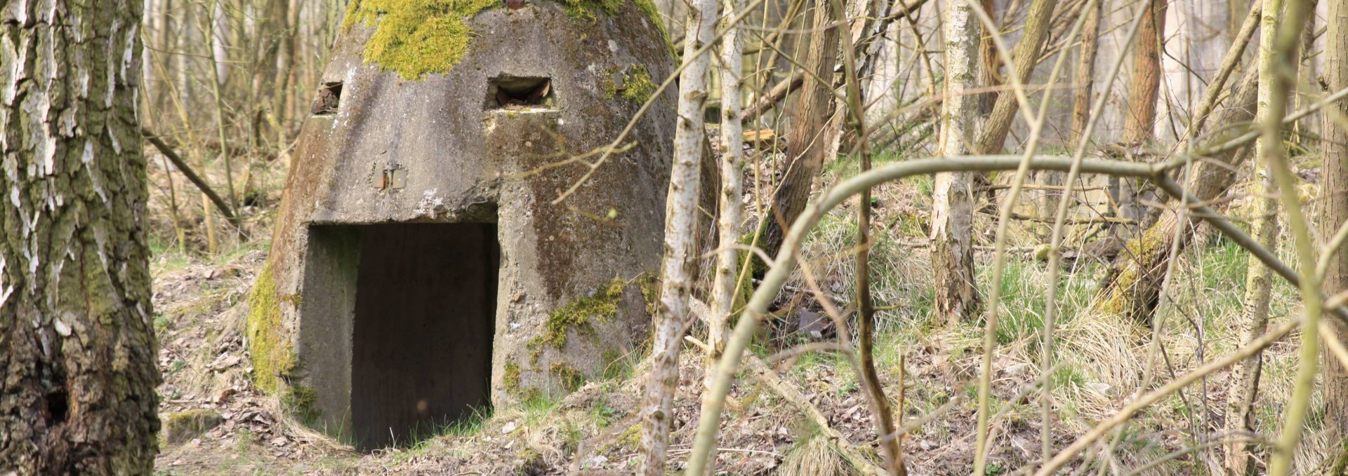 Ruine der ehemaligen Hydrierwerke, © Pomorze Zachodnie