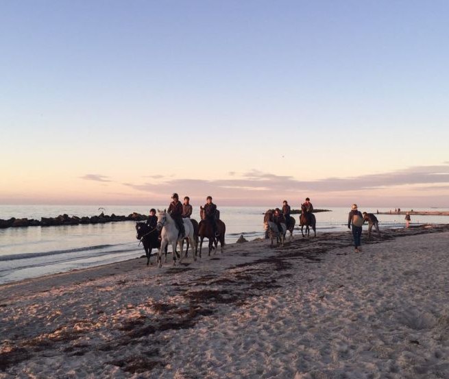 Mit "Bauer Hartmann" von Oktober bis April an die Ostsee reiten, © Bauer Hartmann/ Frauke Beier