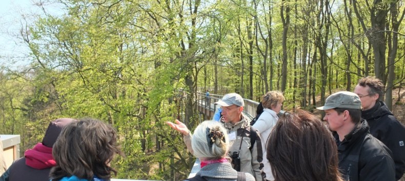 Führung über den Baumwipfelpfad durch einen Zertifizierten Natur- und Landschaftsführer, © Martin Hagemann