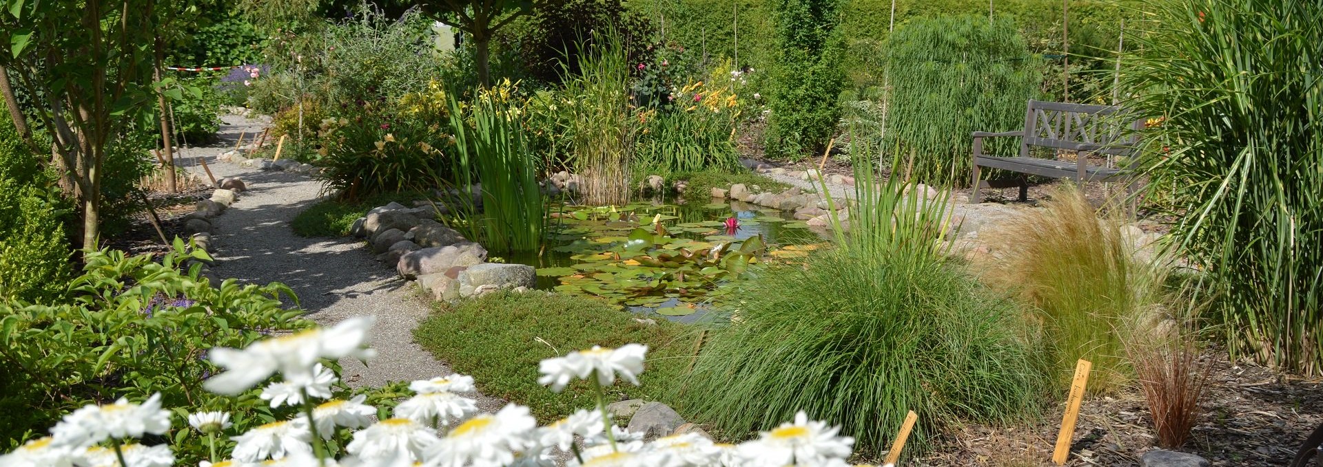 Ruhige Sitzgelegenheit am Gartenteich, © Kevin Hager (Baumschule Hager)