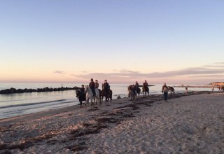 Mit "Bauer Hartmann" von Oktober bis April an die Ostsee reiten, © Bauer Hartmann/ Frauke Beier