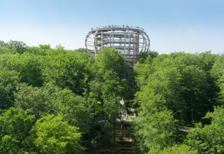 Der Baumwipfelpfad mit dem Aussichtsturm „Adlerhorst“ liegt inmitten eines Buchenwaldes in Prora auf der Insel Rügen., © Erlebnis Akademie AG / Naturerbe Zentrum Rügen