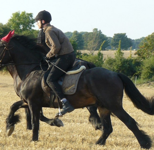 Ausritt durch die herrliche Natur, © Ponyhof Rügen