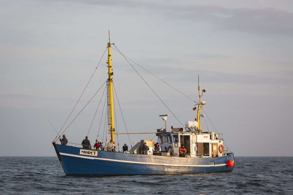 Die MS Moret auf hoher See unterwegs zu den Fanggründen, © TMV/Läufer