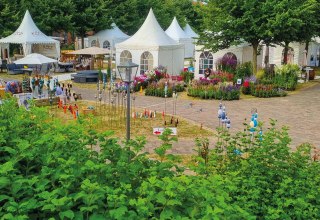 Genießen Sie die sommerliche Atmosphäre bei einem Spaziergang über das Gut Brook., © das AgenturHaus GmbH