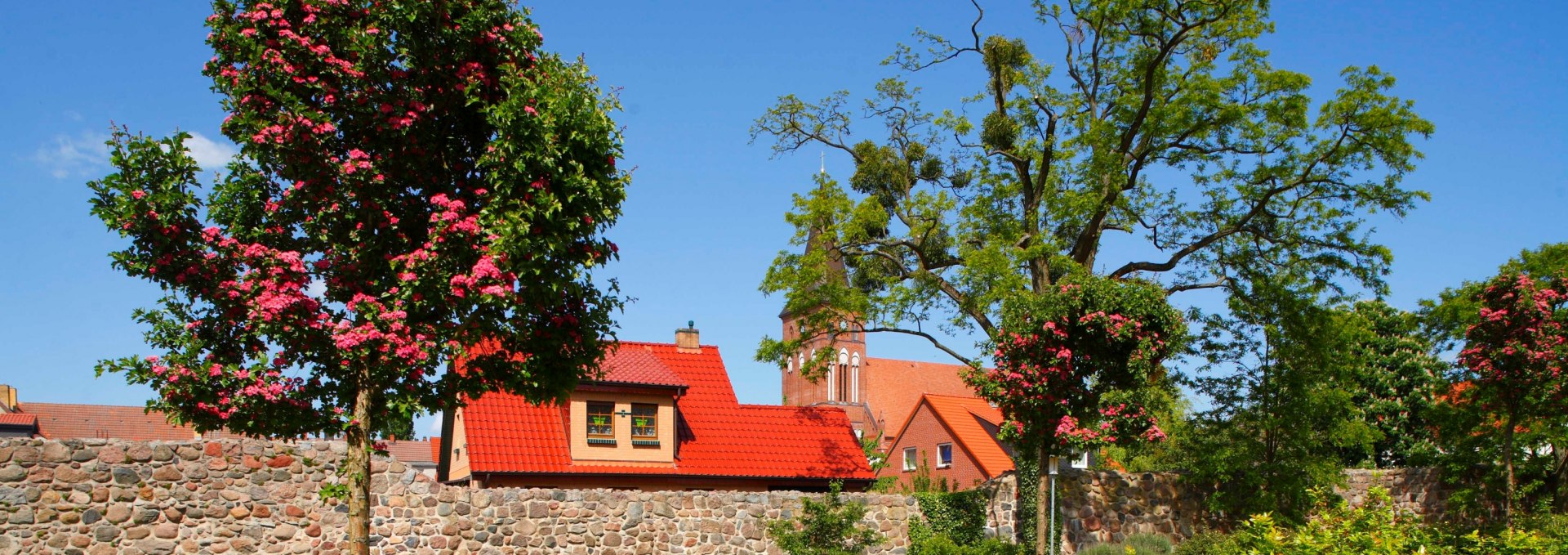 Stadtmauer in Pasewalk, © Torsten Krüger