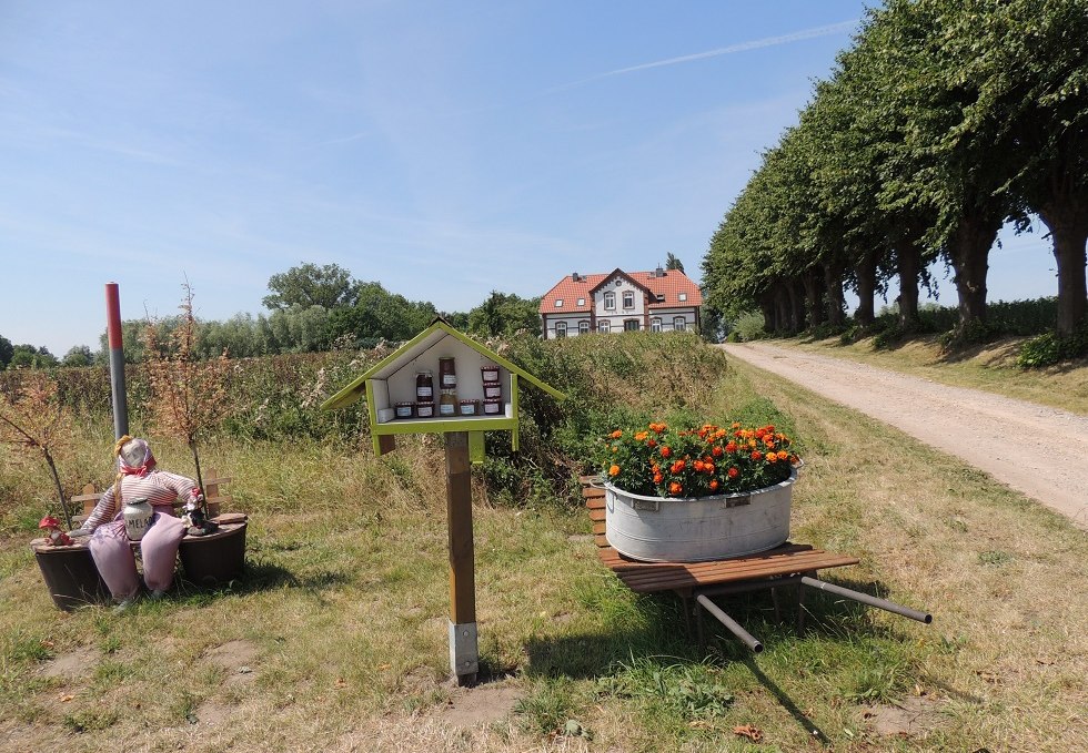 Blick auf die Zufahrt nach Einhusen, © Kurverwaltung Insel Poel