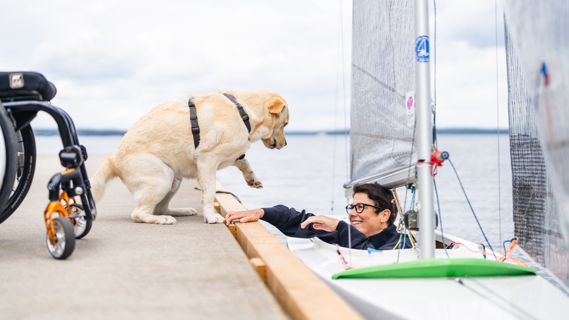 Ein- und Ausstieg sind auf dem Spezialsteg kein Problem. Labrador Herr Karlsson freut sich über das Wiedersehen., © TMV/Gross